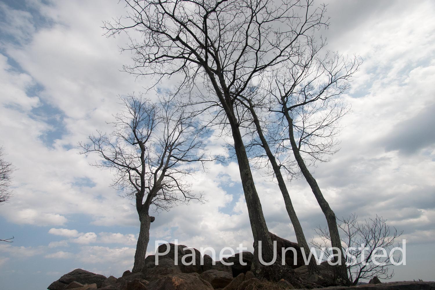 Sky Trees at Shenandoah National Park Stock Photography