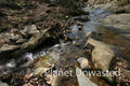 Stream at Shenandoah National Park Stock Photography