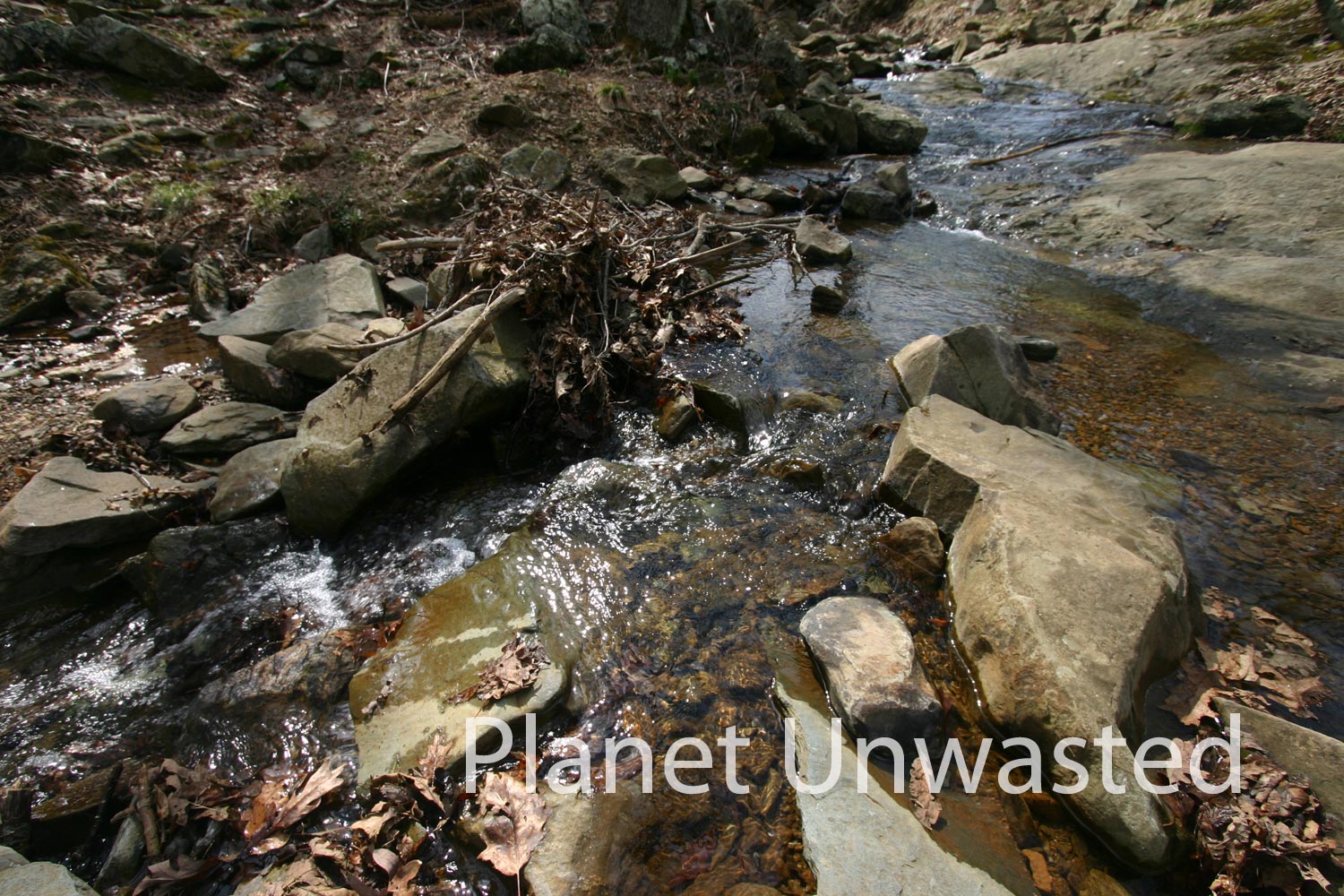 Stream at Shenandoah National Park Stock Photography