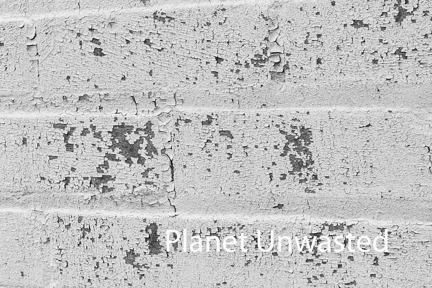 Brick Paint Peel 2 Black and White Texture Original Photograph