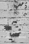 Brick Paint Peel 3 Black and White Texture Original Photograph