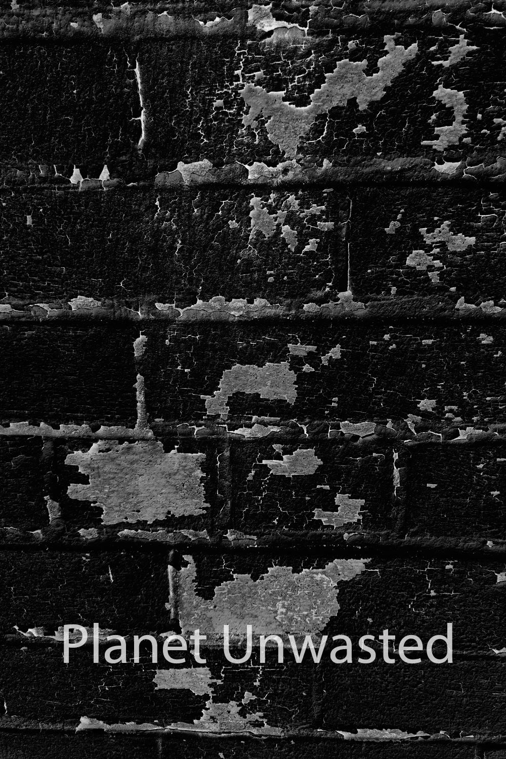 Brick Paint Peel 3 Inverted Black and White Texture Original Photograph