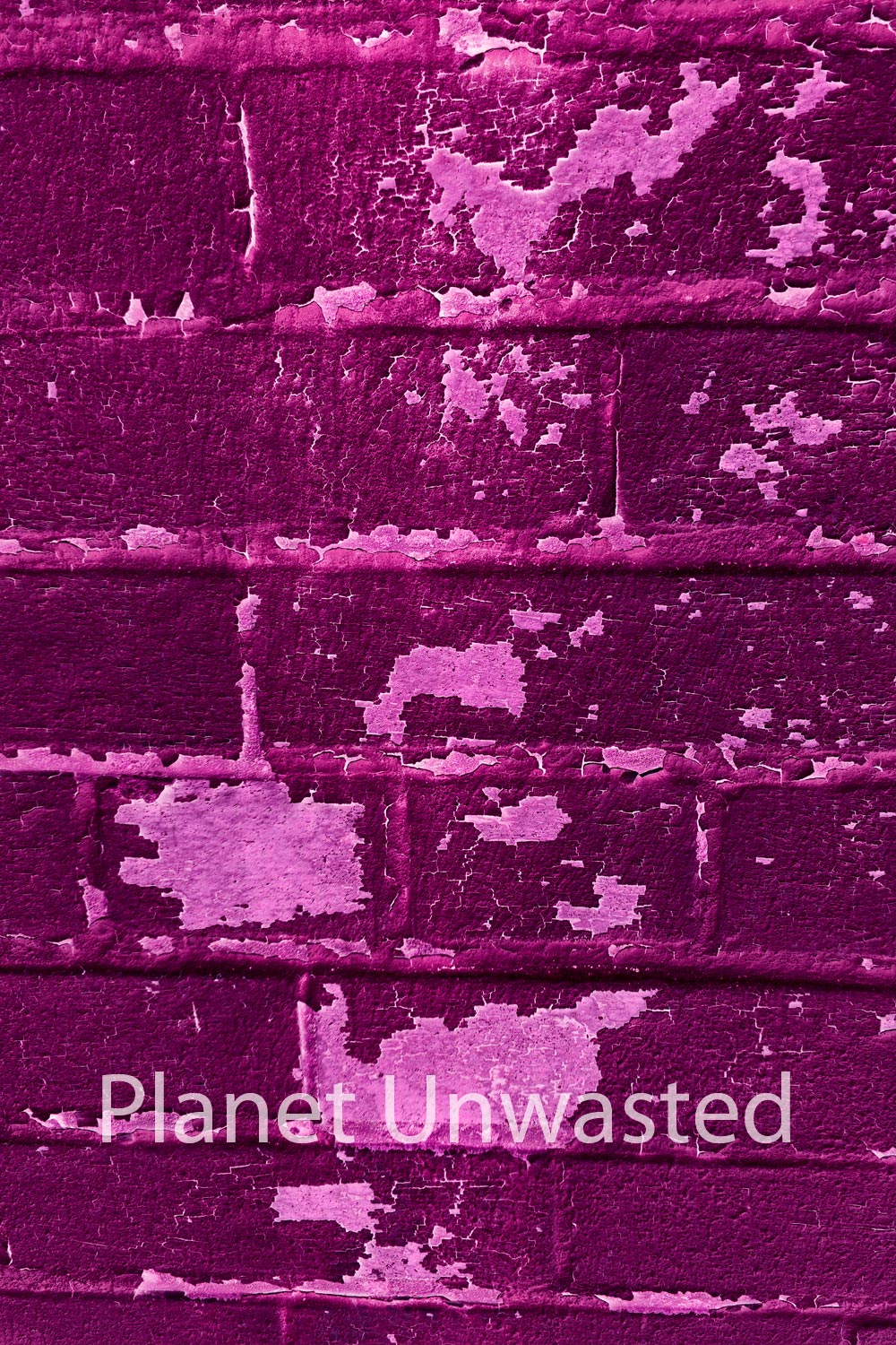 Brick Paint Peel 3 Inverted Pink Texture Original Photograph
