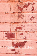 Brick Paint Peel 3 Pink Texture Original Photograph