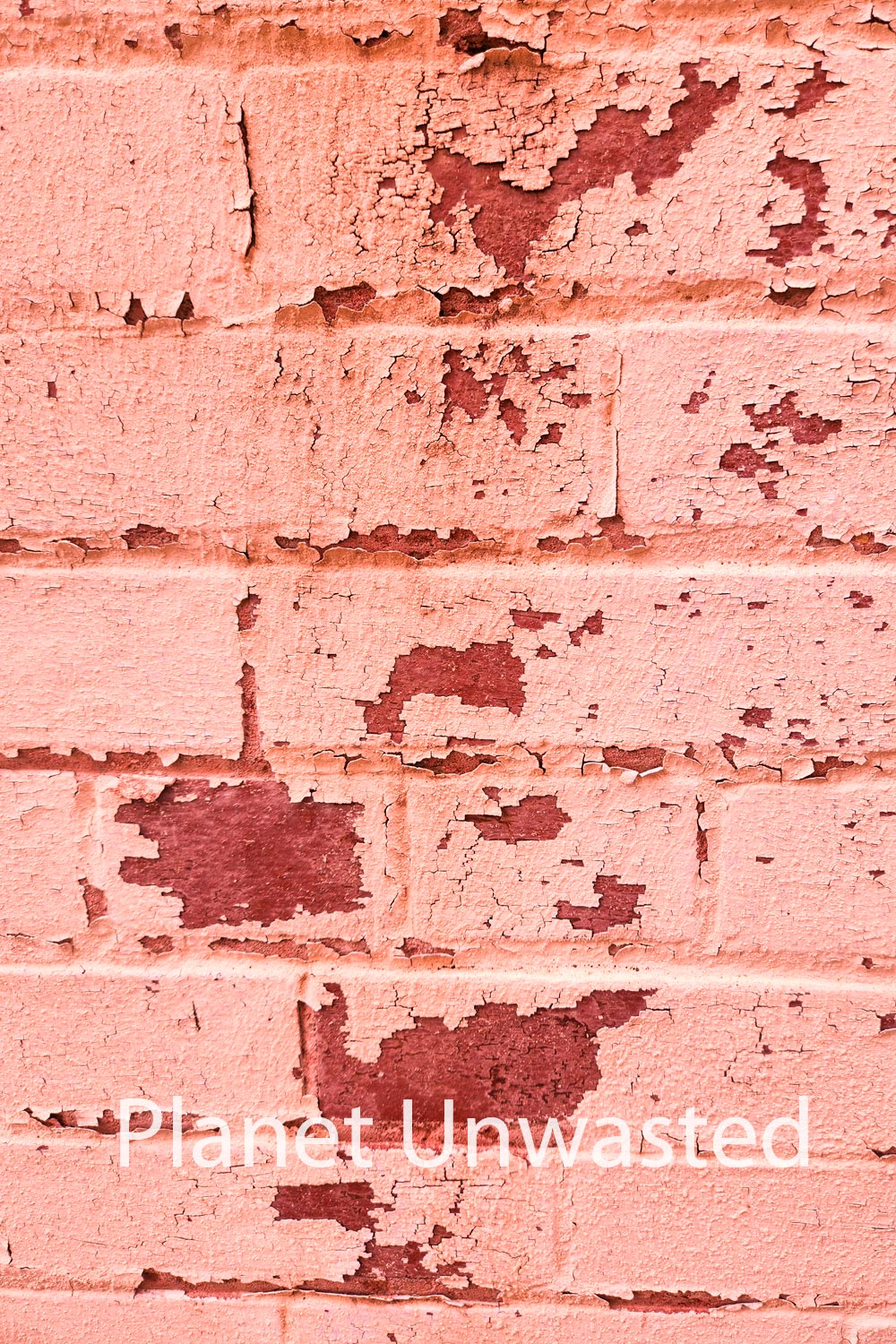 Brick Paint Peel 3 Pink Texture Original Photograph