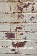 Brick Paint Peel 3 Texture Original Photograph