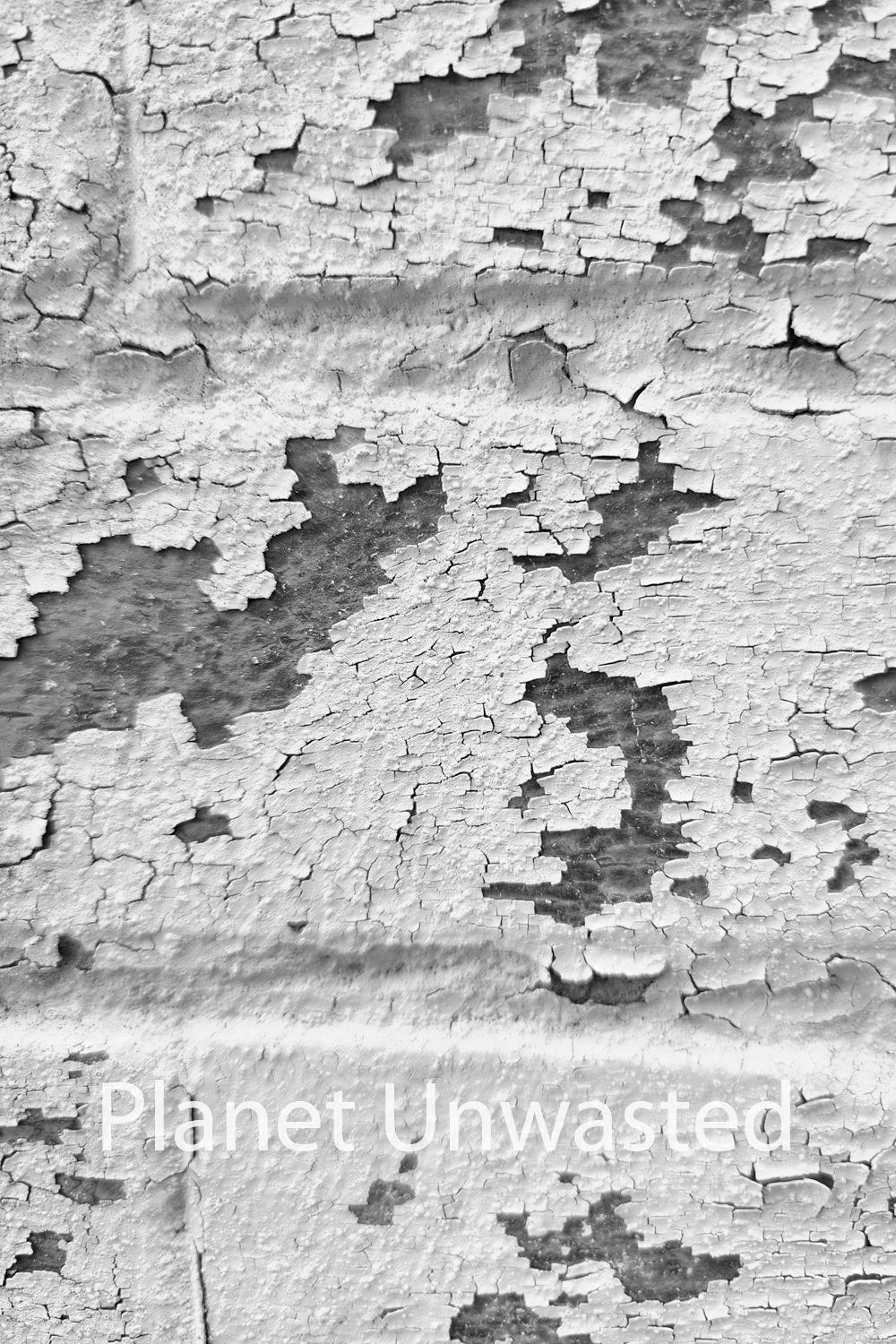 Brick Paint Peel 4 Black and White Texture Original Photograph