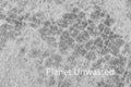 Texture: Cement Black and White Original Photography
