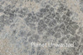 Texture: Cement Original Photography