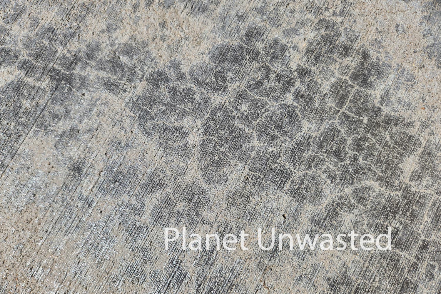 Texture: Cement Original Photography