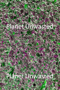 Texture: Pavement 1 Inverted Purple and Green Original Photography