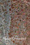 Texture: Pavement 3 Inverted Orange Original Photography