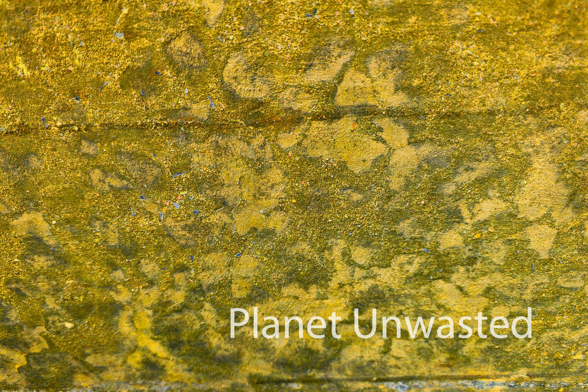 Texture: Wall Inverted Yellow Original Photography