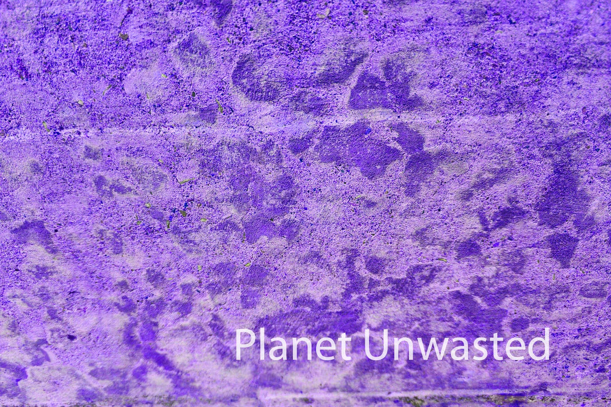 Texture: Wall Purple Original Photography