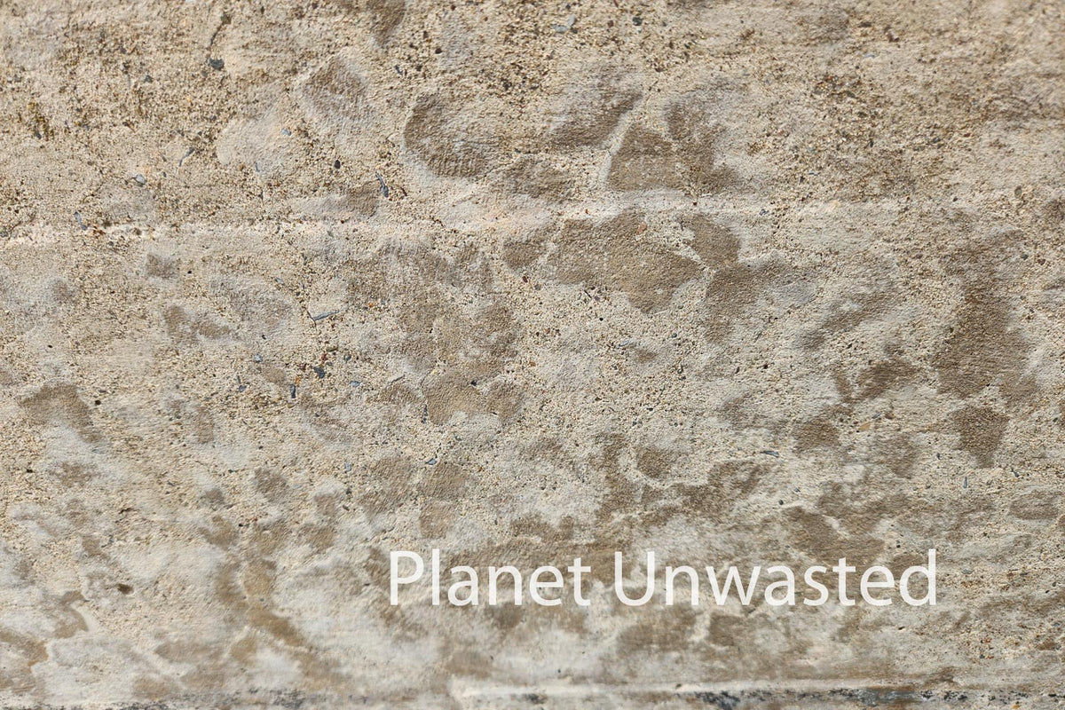 Texture: Wall Original Photography