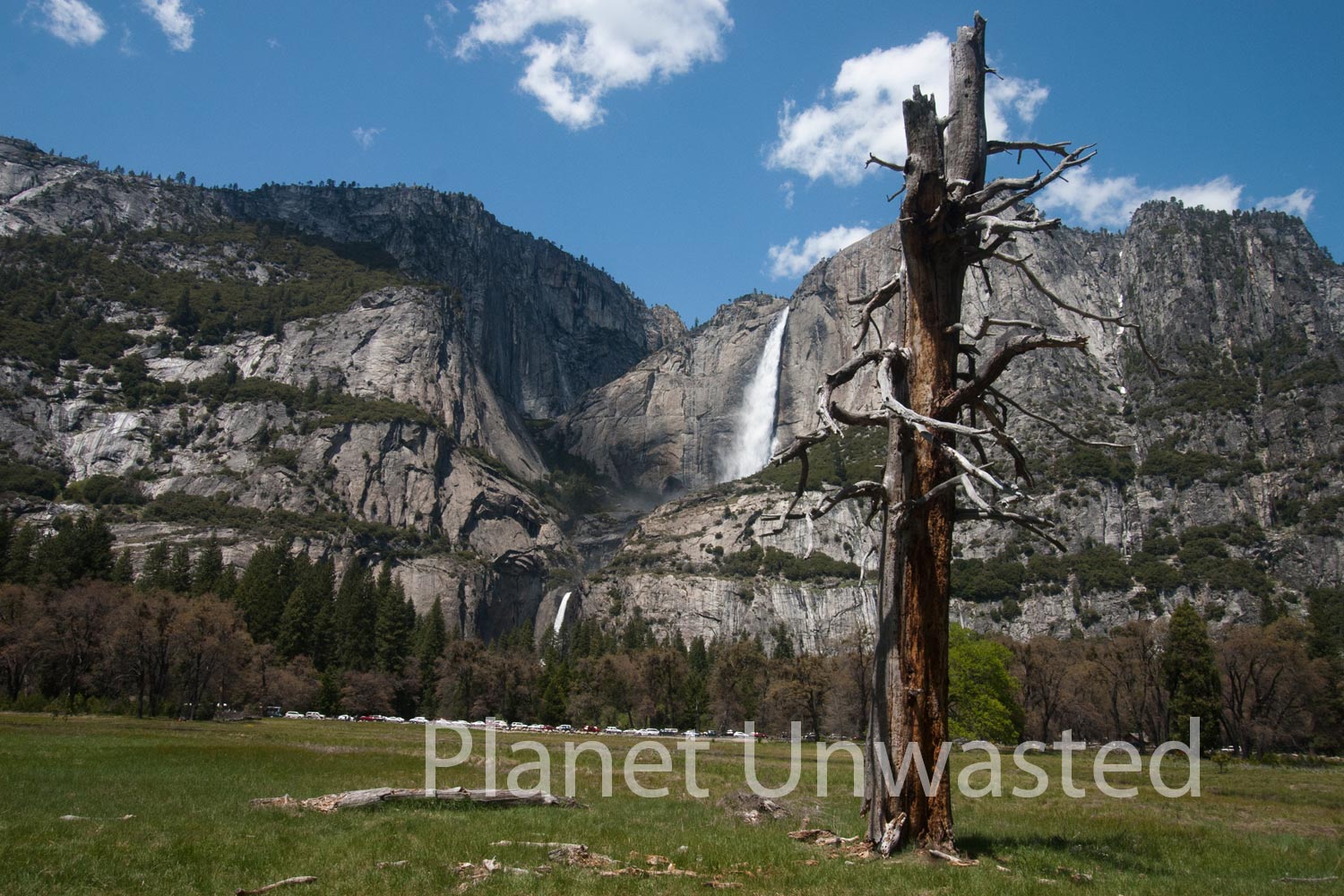 Yosemite Falls Dead Tree at Yosemite National Park Stock Photography