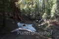 Snow Patch at Yosemite National Park Stock Photography