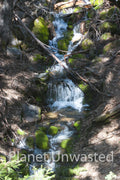 Water Falling at Yosemite National Park Stock Photography
